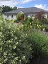 Дома для отпуска Kilcloon Self Catering Cottages & Studios Мейнут-7