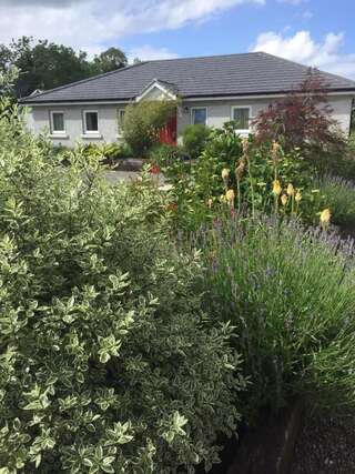 Дома для отпуска Kilcloon Self Catering Cottages & Studios Мейнут Дом для отпуска-2